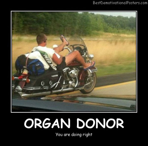 Organ Donor Best Demotivational Posters