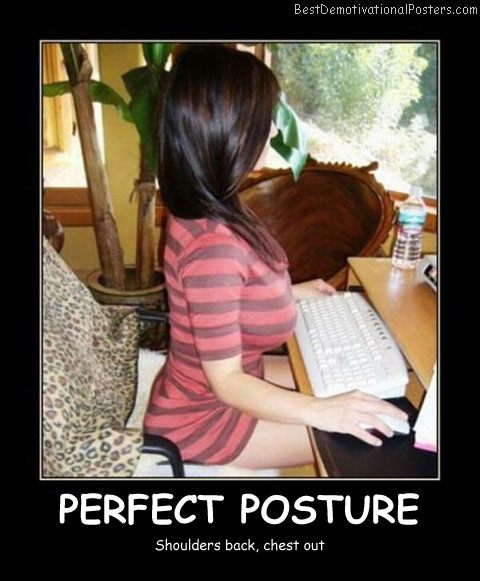 Perfect Posture Best Demotivational Posters