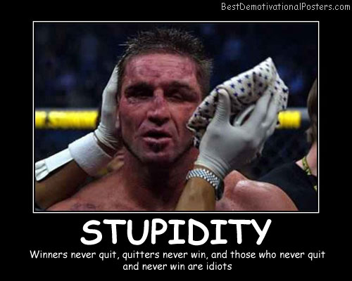 Stupidity Never Quit Best Demotivational Posters