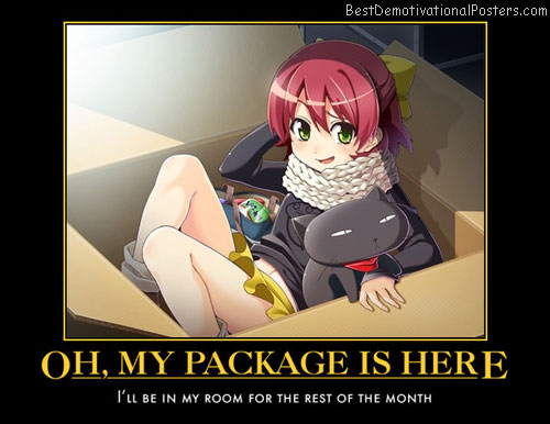 Oh, My Package Is Here anime