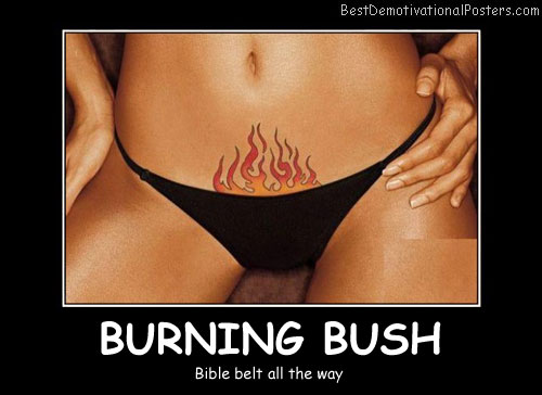 Burning Bush Best Demotivational Posters