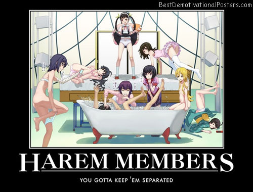Harem Members Anime