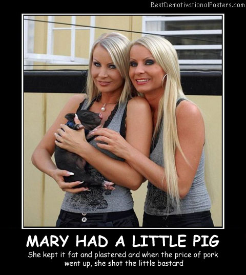 Mary Had A Little Pig Best Demotivational Posters