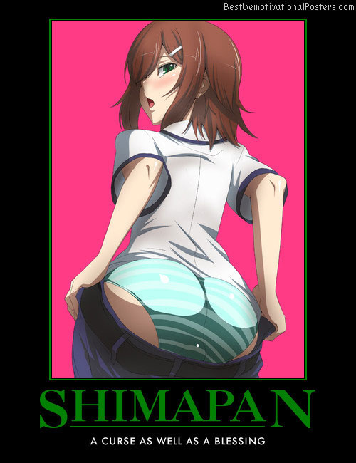 Shimapan Blessing Anime