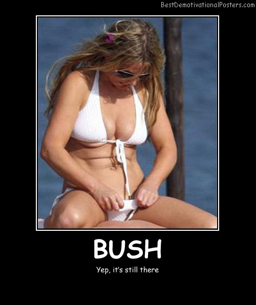Bush Best Demotivational Posters