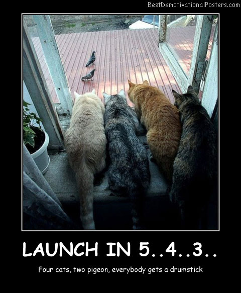 Four Cats Two Pigeons Best Demotivational Posters