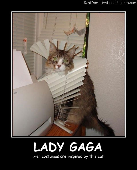 Lady Gaga Cat Best Demotivational Posters