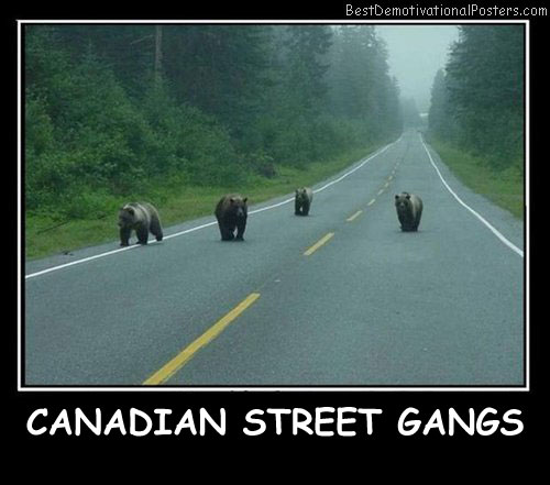 Canadian Street Gangs - Best Demotivational Posters