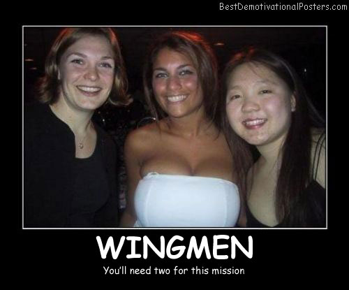 Wingmen Mission Best Demotivational Posters