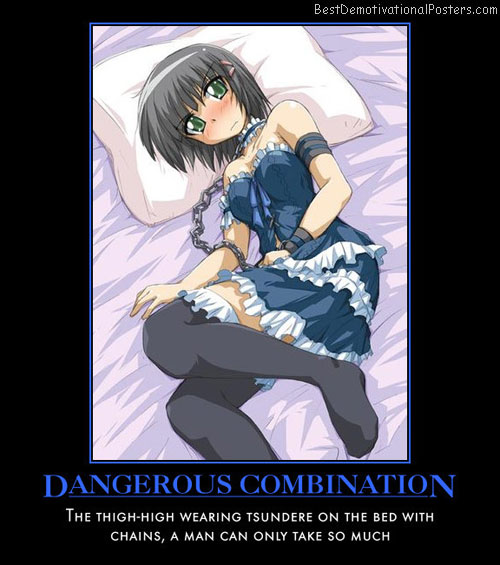 Dangerous Combination - Anime