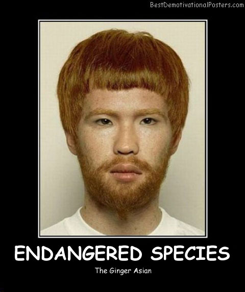 Endangered Species - Best Demotivational Posters