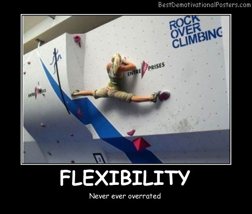 Amazing Flexibility - Best Demotivational Posters