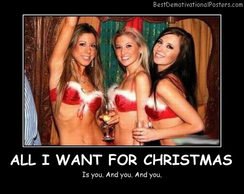 All I Want For Christmas - Best Demotivational Posters