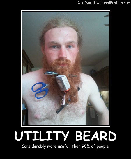 Utility Beard - Best Demotivational Posters