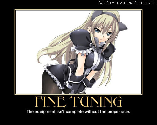 Fine Tuning - Anime