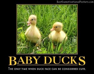 Baby Ducks - Demotivational Poster